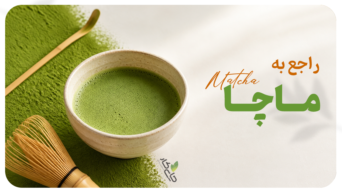 اصالت ماچا
